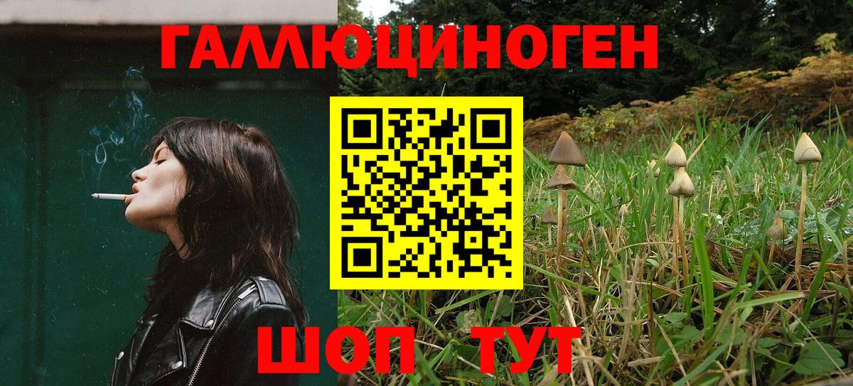 Черкесск  Псилоцибиновые грибы Cubensis  Вход с VPN 